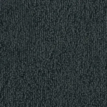 Vorwerk Safira Teppichboden Farbcode 4H79 – Draufsicht ohne Etikett